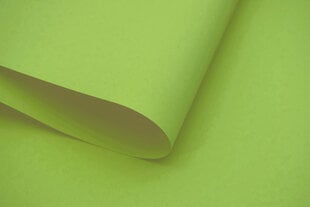 Настенный тканевый ролет Dekor 130x170 см, d-11 зеленый цена и информация | Рулонные шторы | hansapost.ee