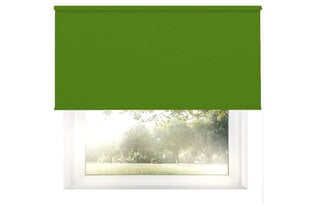 Настенный тканевый ролет Dekor 200x170 см, d-13 зеленый цена и информация | Рулонные шторы | hansapost.ee