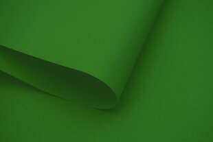 Настенный тканевый ролет Dekor 210x170 см, d-13 зеленый цена и информация | Рулонные шторы | hansapost.ee