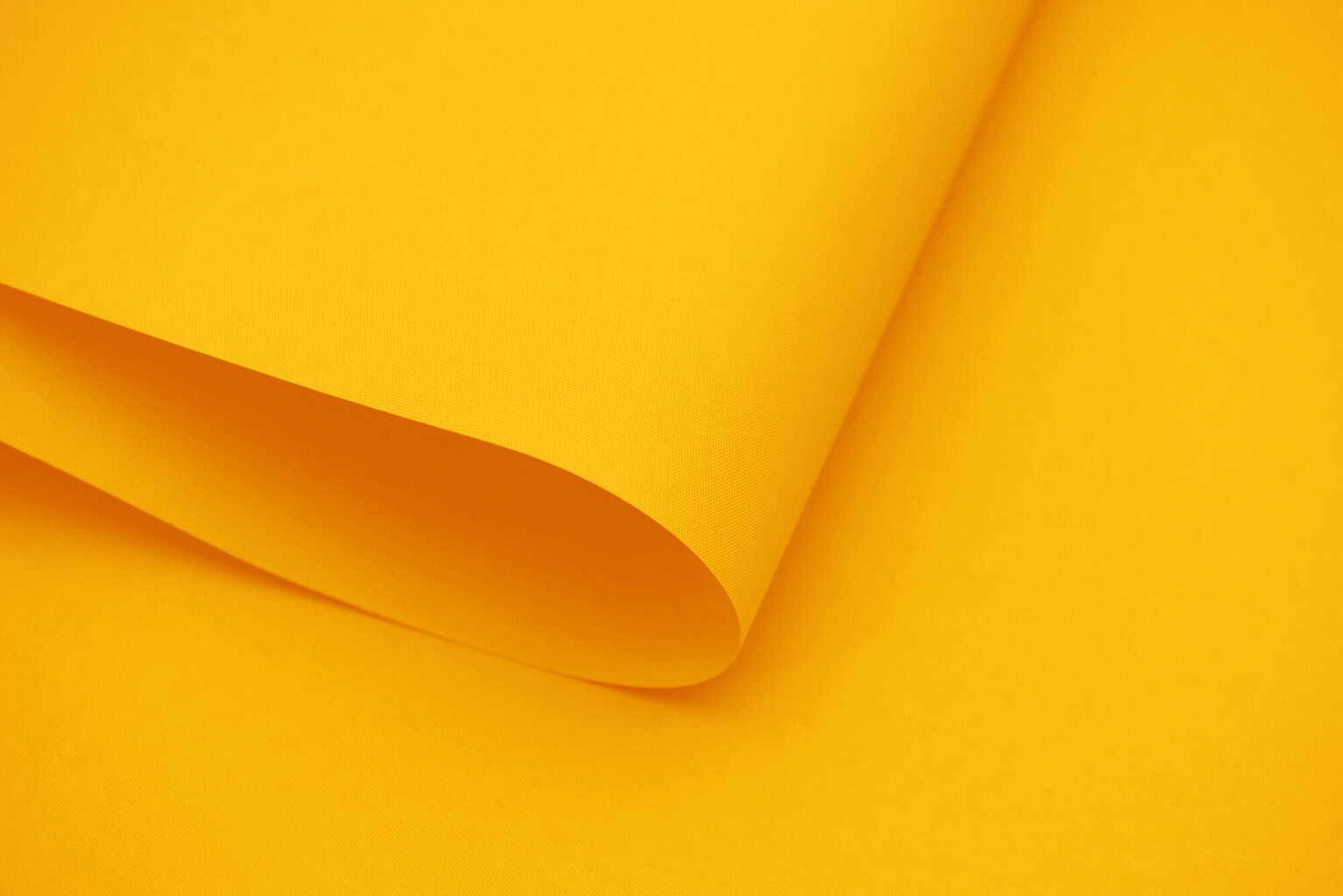 Seinapealne ruloo koos tekstiiliga Dekor 170x170 cm, d-17 kollane цена и информация | Rulood | hansapost.ee