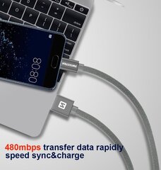 Swissten Textile Универсальный Quick Charge 3.1 USB-C USB Кабель данных 20 cм Золотой цена и информация | Borofone 43757-uniw | hansapost.ee