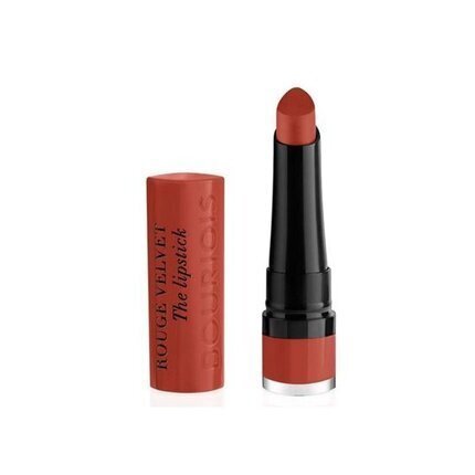 Huulepulk, Bourjois Rouge Velvet 21 Grande Roux, 2,4 g hind ja info | Huulekosmeetika | hansapost.ee