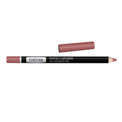 Контурный карандаш для губ Isadora Perfect 1,2 г, 204 Cashmere Pink цена и информация | IsaDora Духи, косметика | hansapost.ee