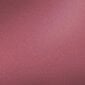 Huulepliiats Isadora Perfect 1,2 g, 206 Velvet Rose цена и информация | Huulekosmeetika | hansapost.ee