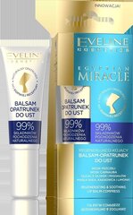 Бальзам для губ Eveline Egyptian Miracle, 12 мл цена и информация | Eveline Cosmetics Декоративная косметика | hansapost.ee