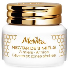 Huulepalsam Melvita Nectar de 3 Miels Arnica 8 g hind ja info | Huulekosmeetika | hansapost.ee