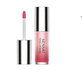 Блеск для губ Total Lip Gloss.  цена и информация | Помады, бальзамы, блеск для губ | hansapost.ee