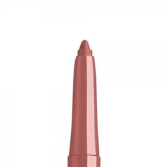 Huulepliiats Mineral Lip Styler 0.4 g, 15A mineral sienna hind ja info | Huulekosmeetika | hansapost.ee