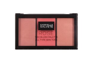 Gabriella Salvete Trio Blush Palette põsepuna 15 g, 02 Rose hind ja info | Päikesepuudrid ja põsepunad | hansapost.ee