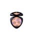 Põsepuna Dr. Hauschka Colour Correcting Powder, 8 g hind ja info | Päikesepuudrid ja põsepunad | hansapost.ee