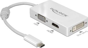 Delock 63924 цена и информация | Адаптеры и USB-hub | hansapost.ee