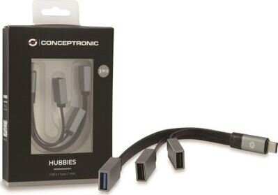 Conceptronic HUBBIES01G цена и информация | USB adapterid ja jagajad | hansapost.ee