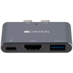 Док-станция для ноутбука Canyon CNS-TDS01DG и репликатор портов, cерый цена и информация | Адаптеры, USB-разветвители | hansapost.ee