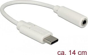 Delock 65913 цена и информация | Адаптеры, USB-разветвители | hansapost.ee