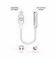 Swissten Lightning to Jack 3.5mm Audio Adapter for iPhone and iPad 15 cm Silver цена и информация | USB adapterid ja jagajad | hansapost.ee