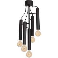 Luminex подвесной светильник Bissa цена и информация | Потолочный светильник, 38 x 38 x 24 см | hansapost.ee