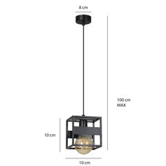 Emibig подвесной светильник Rewal 1 цена и информация | Люстры | hansapost.ee