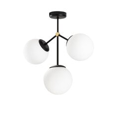 Opviq Подвесной светильник Damar - 6336 цена и информация | Потолочный светильник, 38 x 38 x 24 см | hansapost.ee
