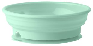 Iminapaga kauss Bambino Stay put 6+ kuud, roheline price and information | Children's plates, bowls and cutlery | hansapost.ee