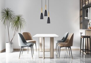 Light Prestige подвесной светильник Solin 3 Black/Gold цена и информация | Потолочный светильник Home ESPRIT Белый Коричневый Деревянный Металл 25 W 40 x 40 x 70 cm | hansapost.ee