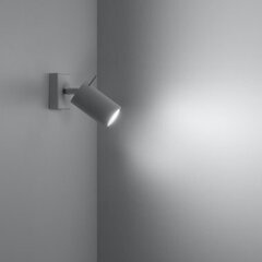Sollux настенный светильник Ring цена и информация | Настенные светильники | hansapost.ee