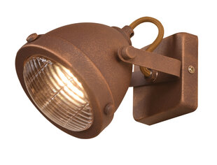 Candellux настенный светильник Frodo цена и информация | Настенные светильники | hansapost.ee