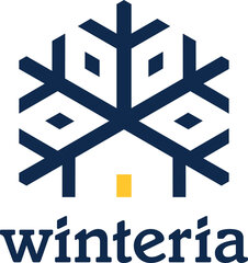 Winteria искусственное растение Puansetija, 33 см цена и информация | Детали интерьера | hansapost.ee