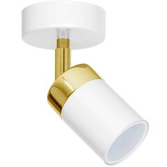 Milagro настенный светильник Joker White/Gold цена и информация | Настенные светильники | hansapost.ee