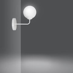Emibig настенный светильник Selbi K1 White цена и информация | Настенные светильники | hansapost.ee