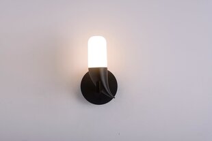 Ledea настенный светильник Sakai цена и информация | Настенные светильники | hansapost.ee