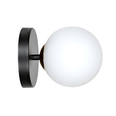 Emibig светильник Floki 1 Black Gold цена и информация | Настенные светильники | hansapost.ee