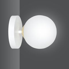Emibig светильник Floki 1 White Gold цена и информация | Настенные светильники | hansapost.ee