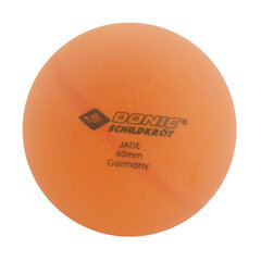 Комплект мячей для настольного тенниса Donic Jade, 6 шт. цена и информация | Мячи для настольного тенниса | hansapost.ee