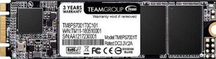 Team Group TM8PS7256G0C101 цена и информация | Внутренние жёсткие диски (HDD, SSD, Hybrid) | hansapost.ee