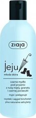 Ziaja Jeju Black Shower Soap dušigeel 300 ml hind ja info | Dušigeelid, õlid | hansapost.ee