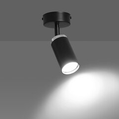 Emibig светильник Hera 1 цена и информация | Потолочные светильники | hansapost.ee