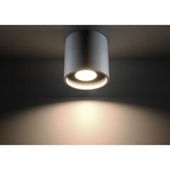 SOLLUX потолочный светильник Orbis White цена и информация | Потолочные светильники | hansapost.ee