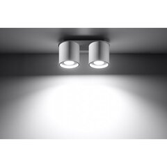 SOLLUX потолочный светильник Orbis 2 White цена и информация | Потолочные светильники | hansapost.ee