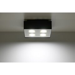 SOLLUX потолочный светильник Mono 4 White цена и информация | Потолочные светильники | hansapost.ee