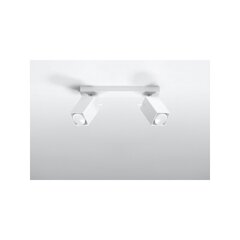 SOLLUX потолочный светильник Merida 2 White цена и информация | Потолочные светильники | hansapost.ee