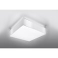 Laevalgusti SOLLUX Horus 35 White