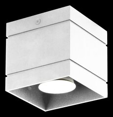 Lampex светильник Quado Deluxe 1 цена и информация | Потолочные светильники | hansapost.ee