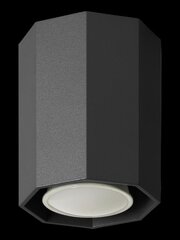 Lampex светильник Okta 10 цена и информация | Потолочные светильники | hansapost.ee