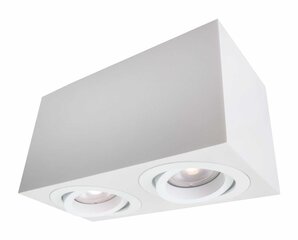 Light Prestige потолочный светильник Lyon 2 цена и информация | Потолочные светильники | hansapost.ee