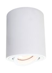 Light Prestige потолочный светильник Tulon цена и информация | Потолочные светильники | hansapost.ee