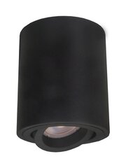 Light Prestige потолочный светильник Tulon цена и информация | Потолочные светильники | hansapost.ee