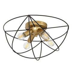 Luminex потолочный светильник Copernicus цена и информация | Потолочные светильники | hansapost.ee