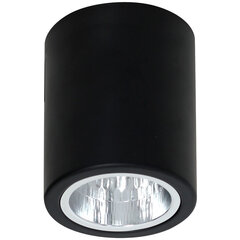 Luminex потолочный светильник Downlight Round цена и информация | Потолочные светильники | hansapost.ee