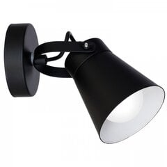 Luminex потолочный светильник Amos цена и информация | Потолочные светильники | hansapost.ee