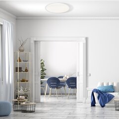 Milagro потолочный светильник Cruz цена и информация | Eko-Light Мебель и домашний интерьер | hansapost.ee